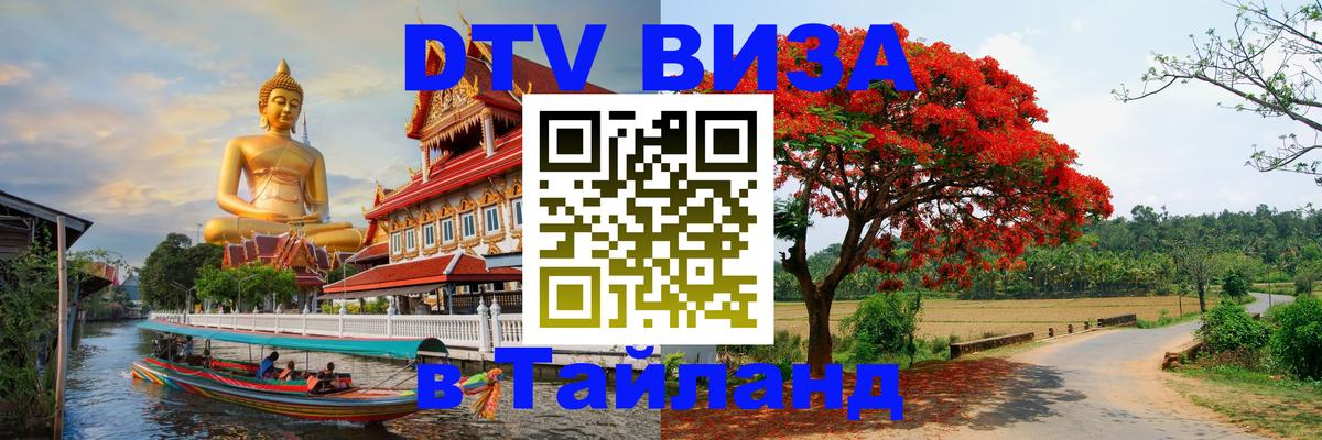 Оформление DTV визы под ключ: стоимость и тарифы, только загранпаспорт - Рубцовск 